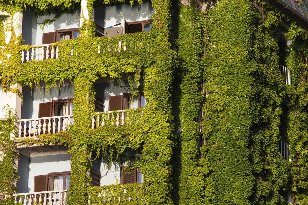 Architecture durable : les innovations qui façonnent notre avenir
